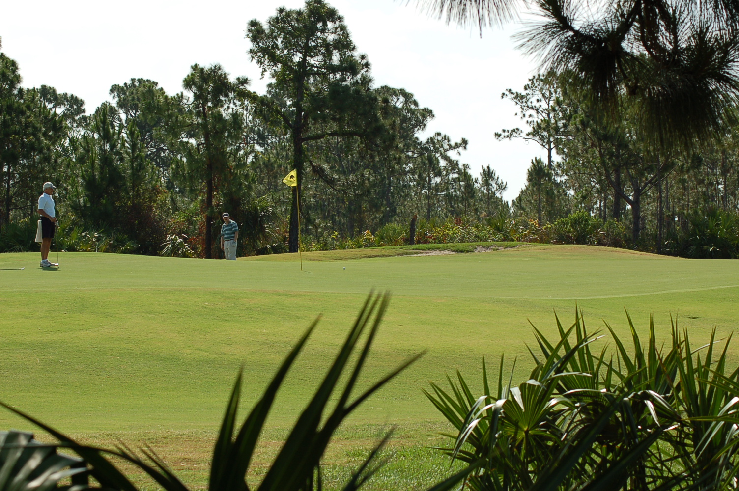 Florida Golf Course For Sale